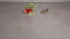 Wine and Dine / Wine and Dine Bundle